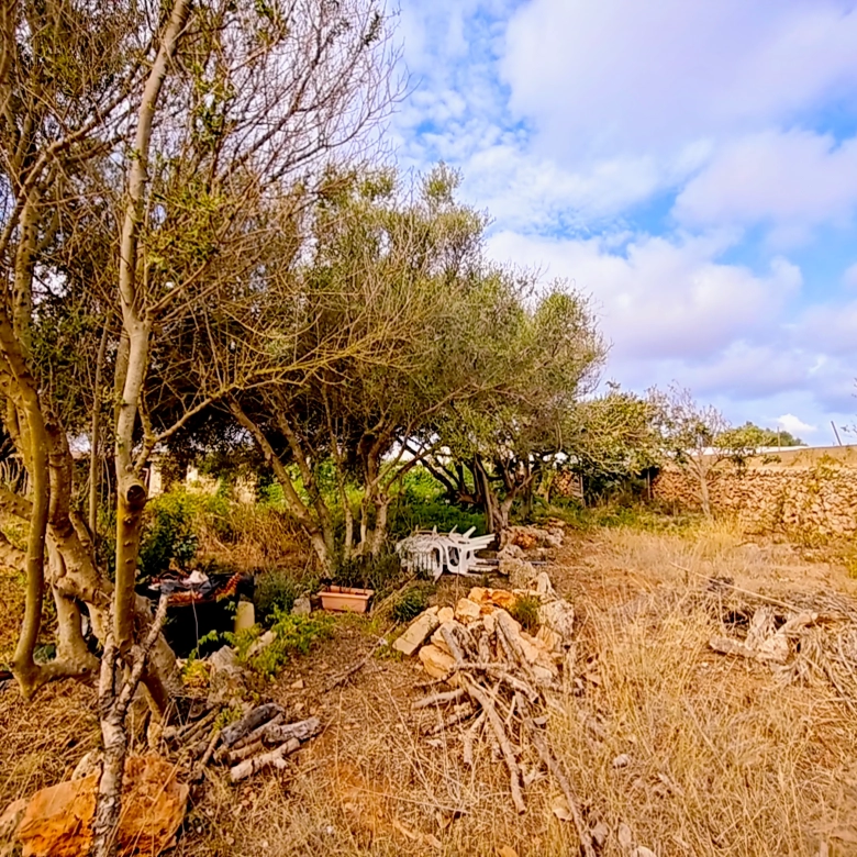 Hortal de 2.021 m² en venta cerca de Ciutadella de Menorca