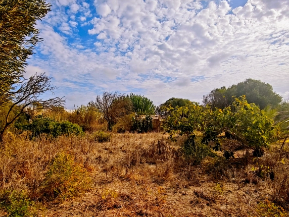 Hortal de 2.021 m² en venta cerca de Ciutadella de Menorca