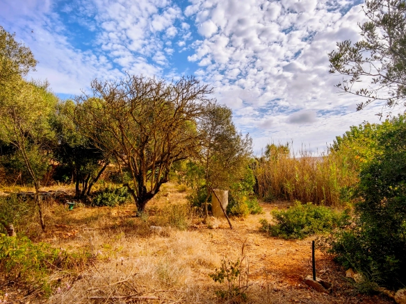 Hortal de 2.021 m² en venta cerca de Ciutadella de Menorca