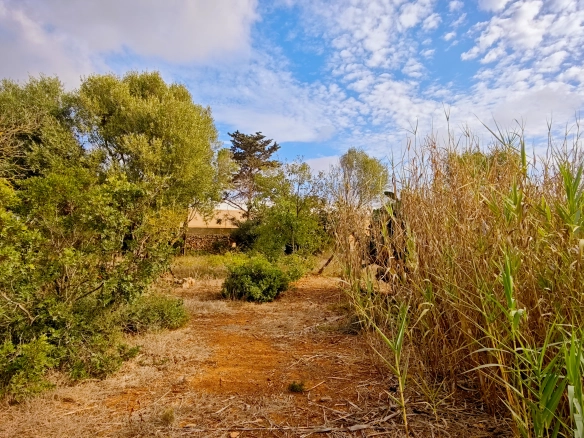 Hortal de 2.021 m² en venta cerca de Ciutadella de Menorca