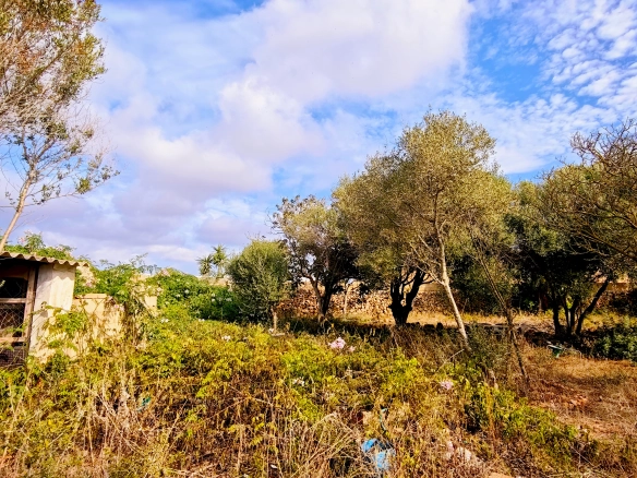 Hortal de 2.021 m² en venta cerca de Ciutadella de Menorca