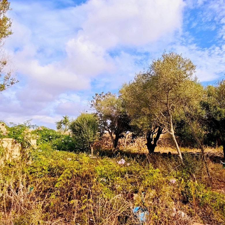 Hortal de 2.021 m² en venta cerca de Ciutadella de Menorca