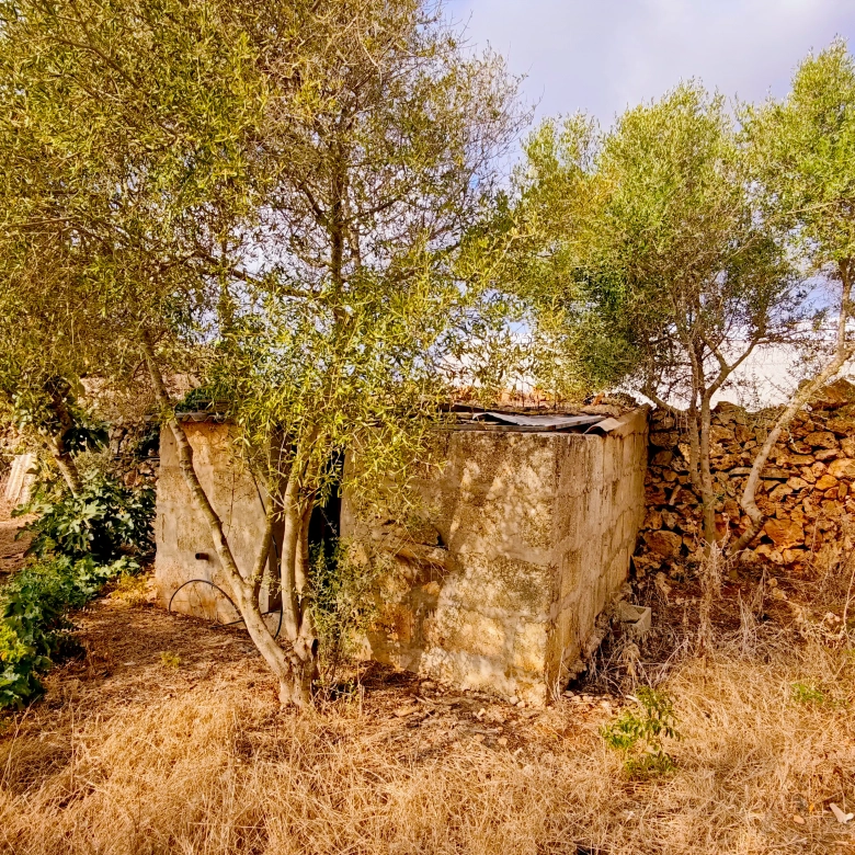Hortal de 2.021 m² en venta cerca de Ciutadella de Menorca