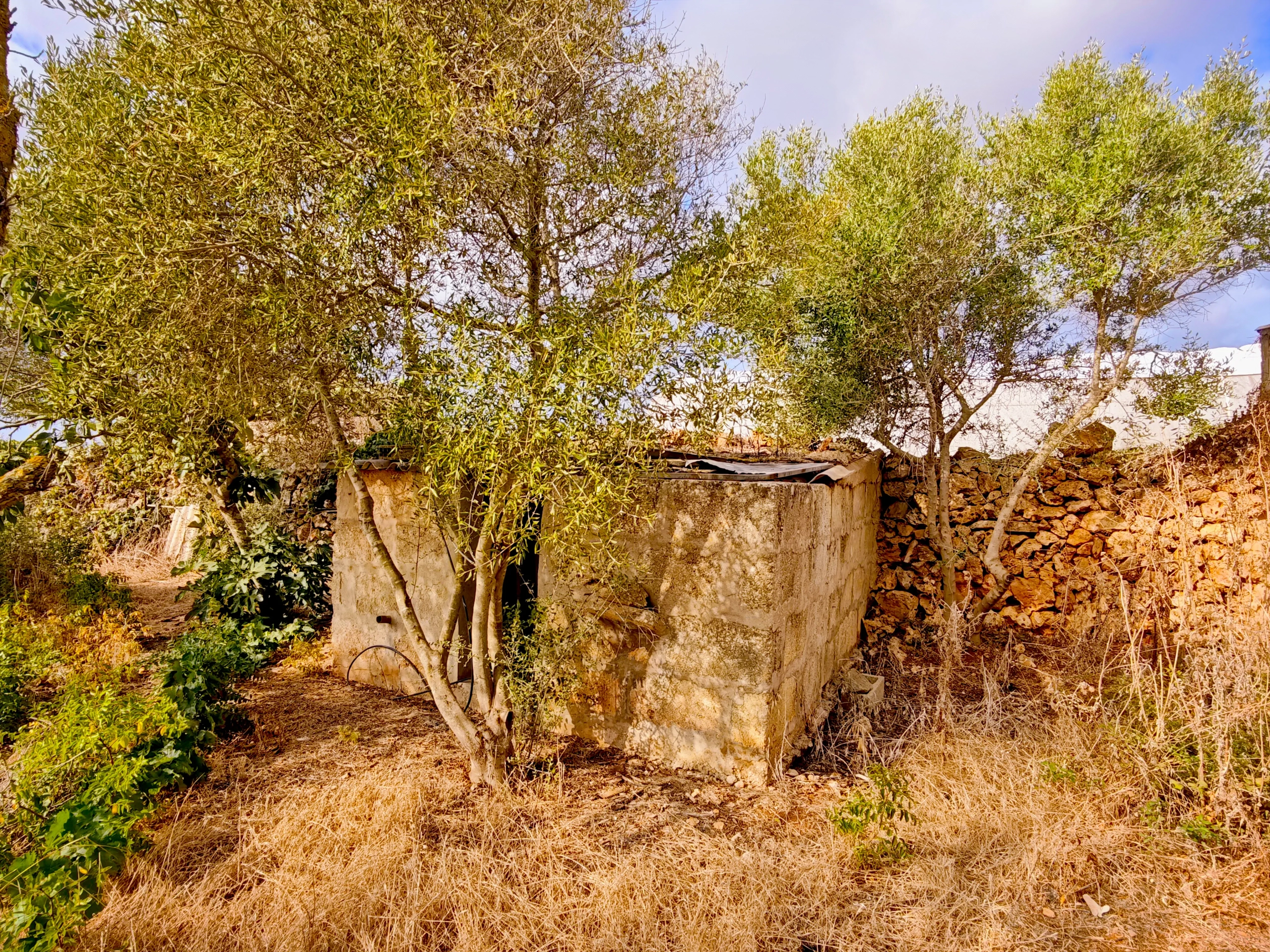 Hortal de 2.021 m² en venta cerca de Ciutadella de Menorca
