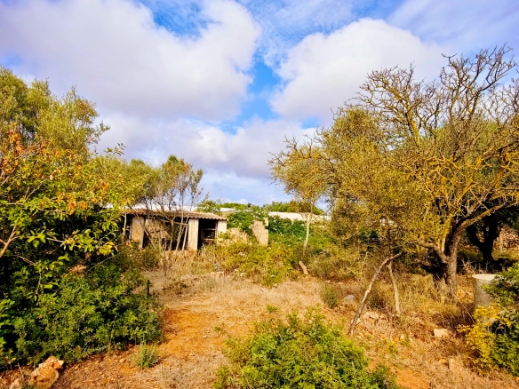 Hortal de 2.021 m² en venta cerca de Ciutadella de Menorca