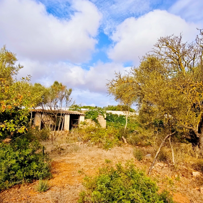 Hortal de 2.021 m² en venta cerca de Ciutadella de Menorca