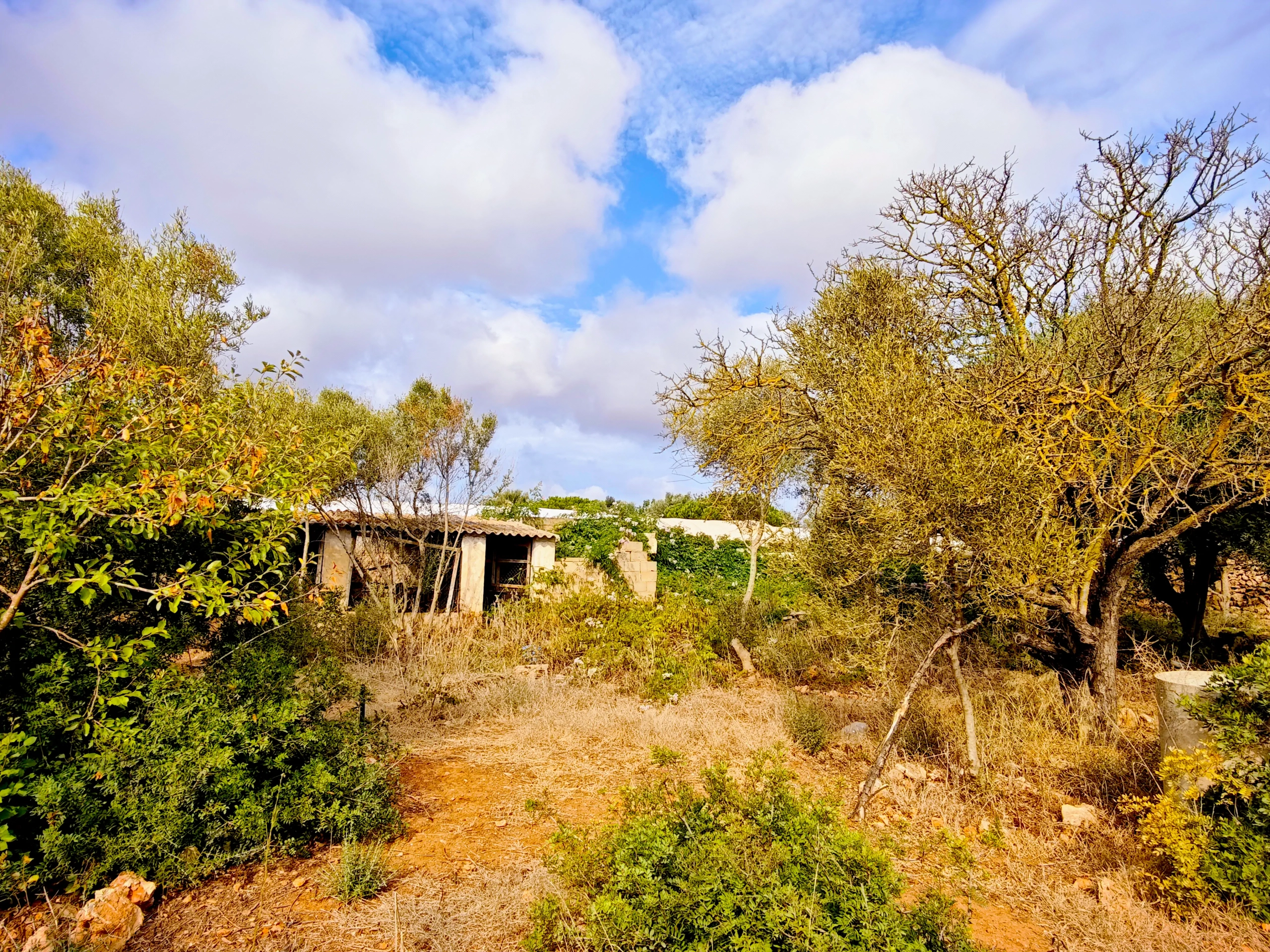 Hortal de 2.021 m² en venta cerca de Ciutadella de Menorca