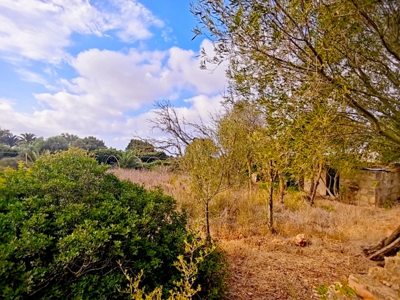 Hortal de 2.021 m² en venta cerca de Ciutadella de Menorca