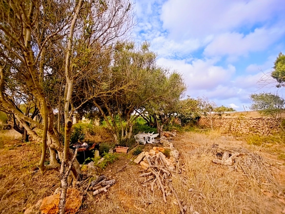 Hortal de 2.021 m² en venta cerca de Ciutadella de Menorca