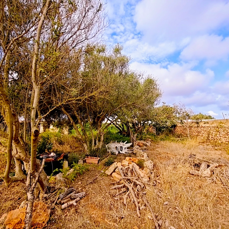 Hortal de 2.021 m² en venta cerca de Ciutadella de Menorca