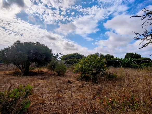 Hortal de 2.021 m² en venta cerca de Ciutadella de Menorca