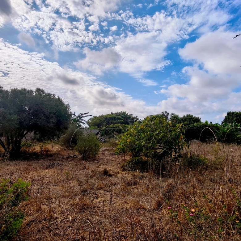 Hortal de 2.021 m² en venta cerca de Ciutadella de Menorca