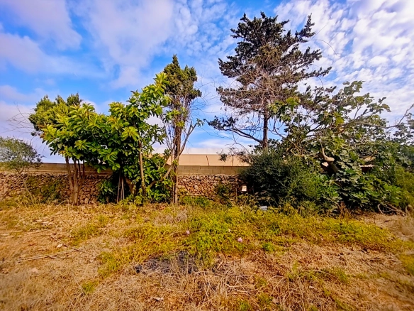 Hortal de 2.021 m² en venta cerca de Ciutadella de Menorca