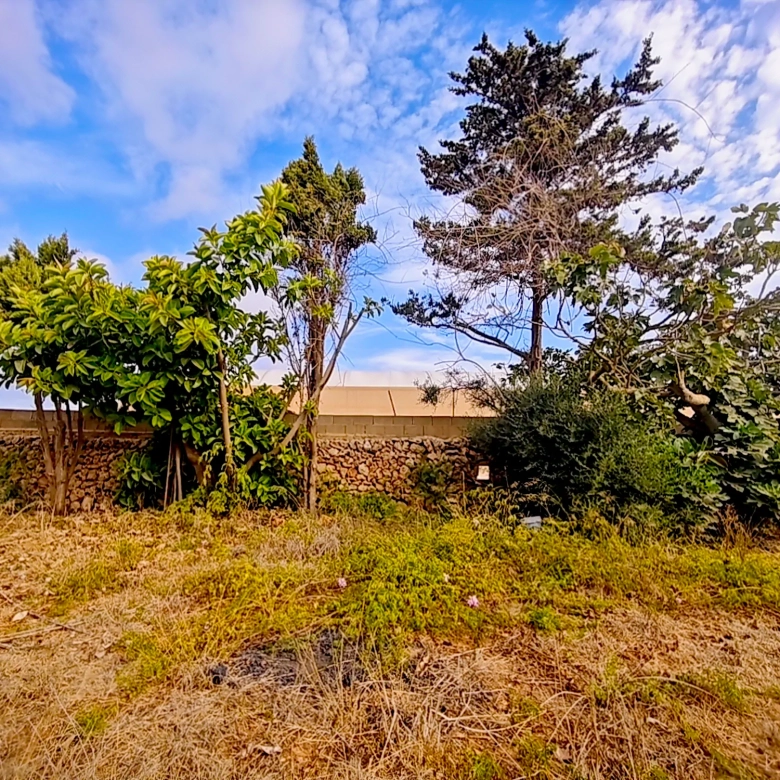 Hortal de 2.021 m² en venta cerca de Ciutadella de Menorca