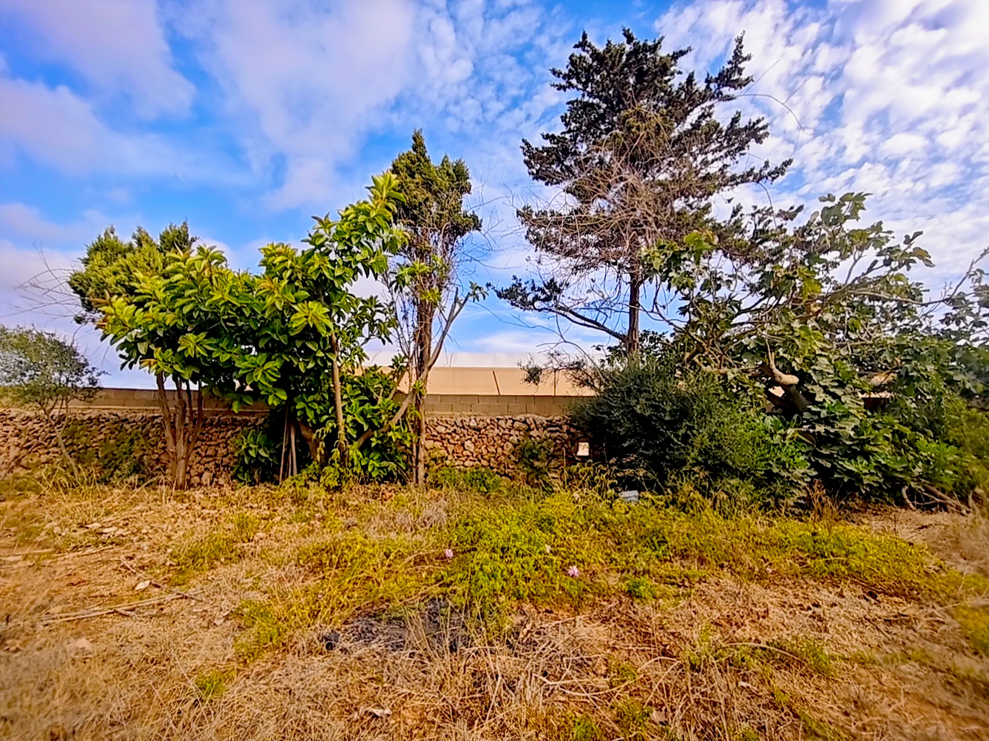 Hortal de 2.021 m² en venta cerca de Ciutadella de Menorca