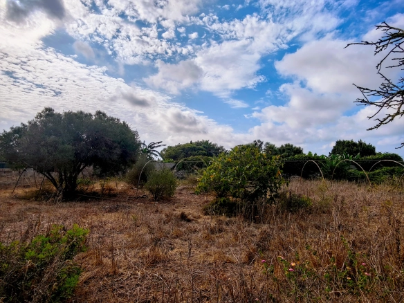 Hortal de 2.021 m² en venta cerca de Ciutadella de Menorca