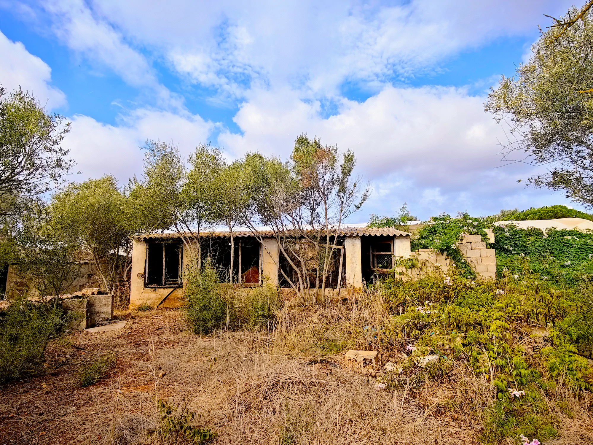 Hortal de 2.021 m² en venta cerca de Ciutadella de Menorca