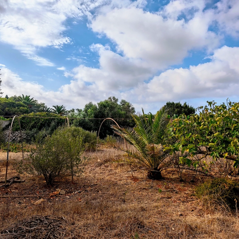 Hortal de 2.021 m² en venta cerca de Ciutadella de Menorca