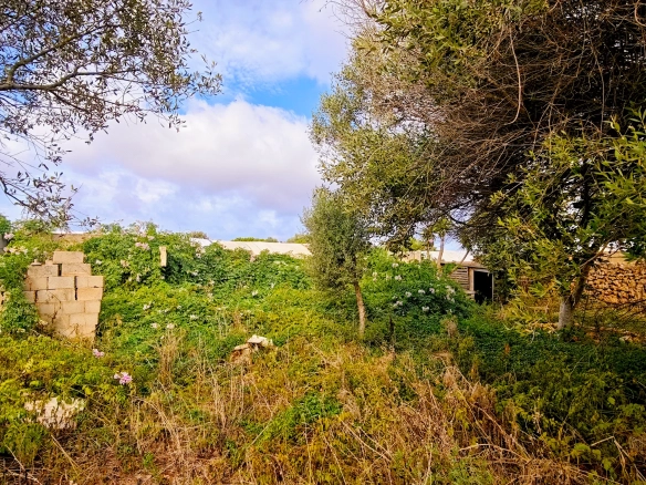 Hortal de 2.021 m² en venta cerca de Ciutadella de Menorca