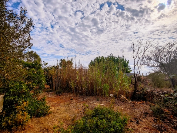 Hortal de 2.021 m² en venta cerca de Ciutadella de Menorca