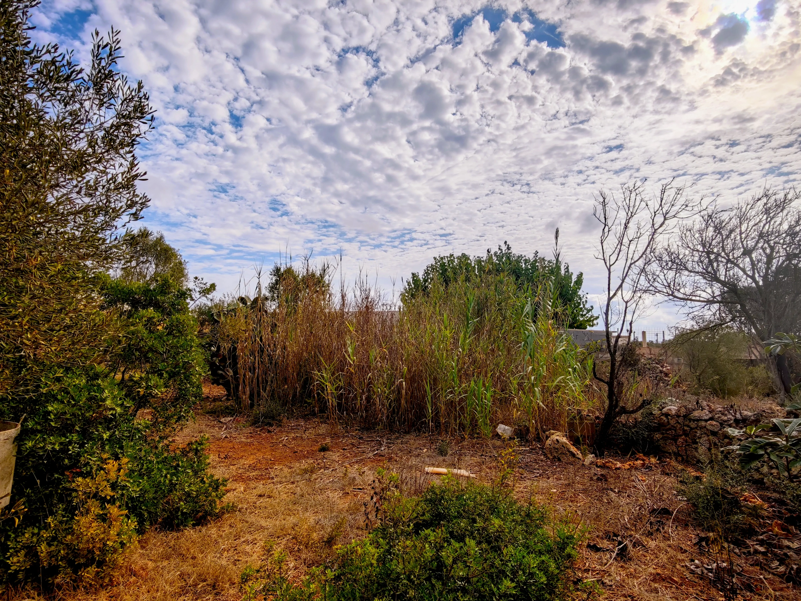 Hortal de 2.021 m² en venta cerca de Ciutadella de Menorca