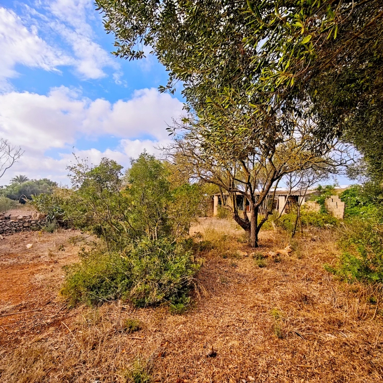 Hortal de 2.021 m² en venta cerca de Ciutadella de Menorca