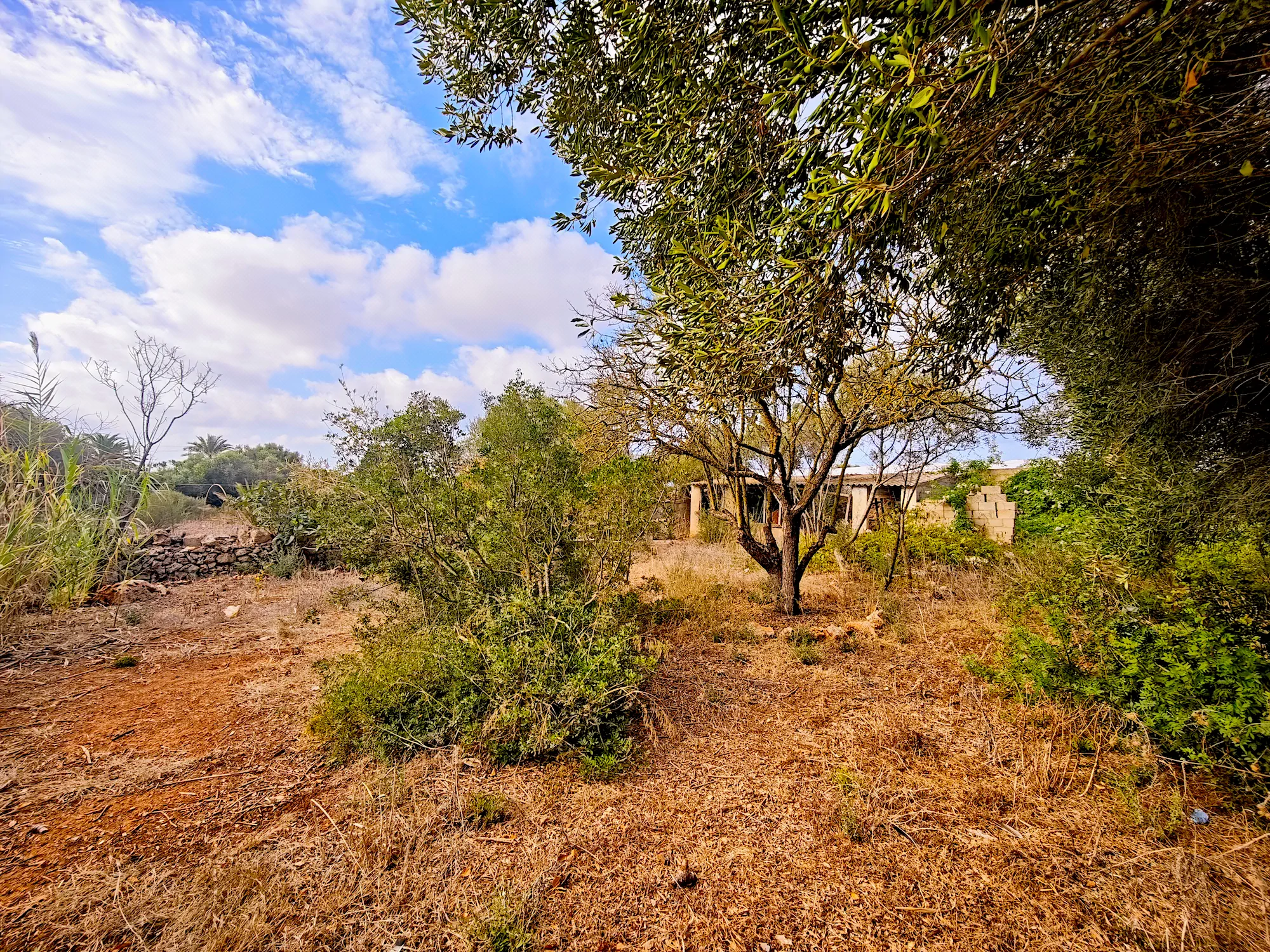 Hortal de 2.021 m² en venta cerca de Ciutadella de Menorca