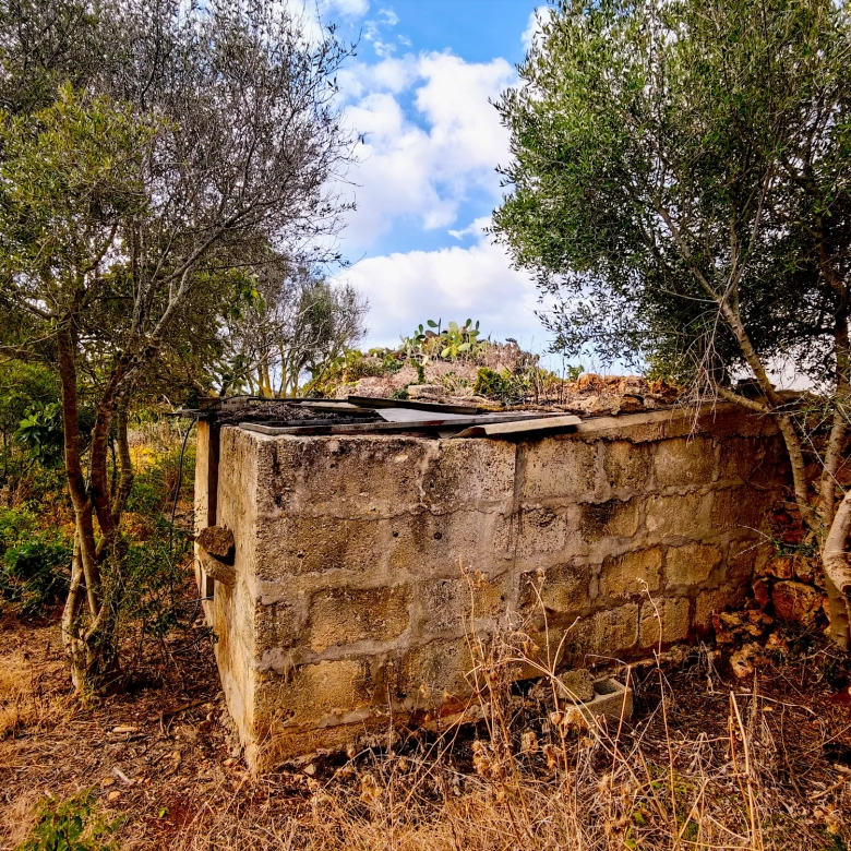 Hortal de 2.021 m² en venta cerca de Ciutadella de Menorca