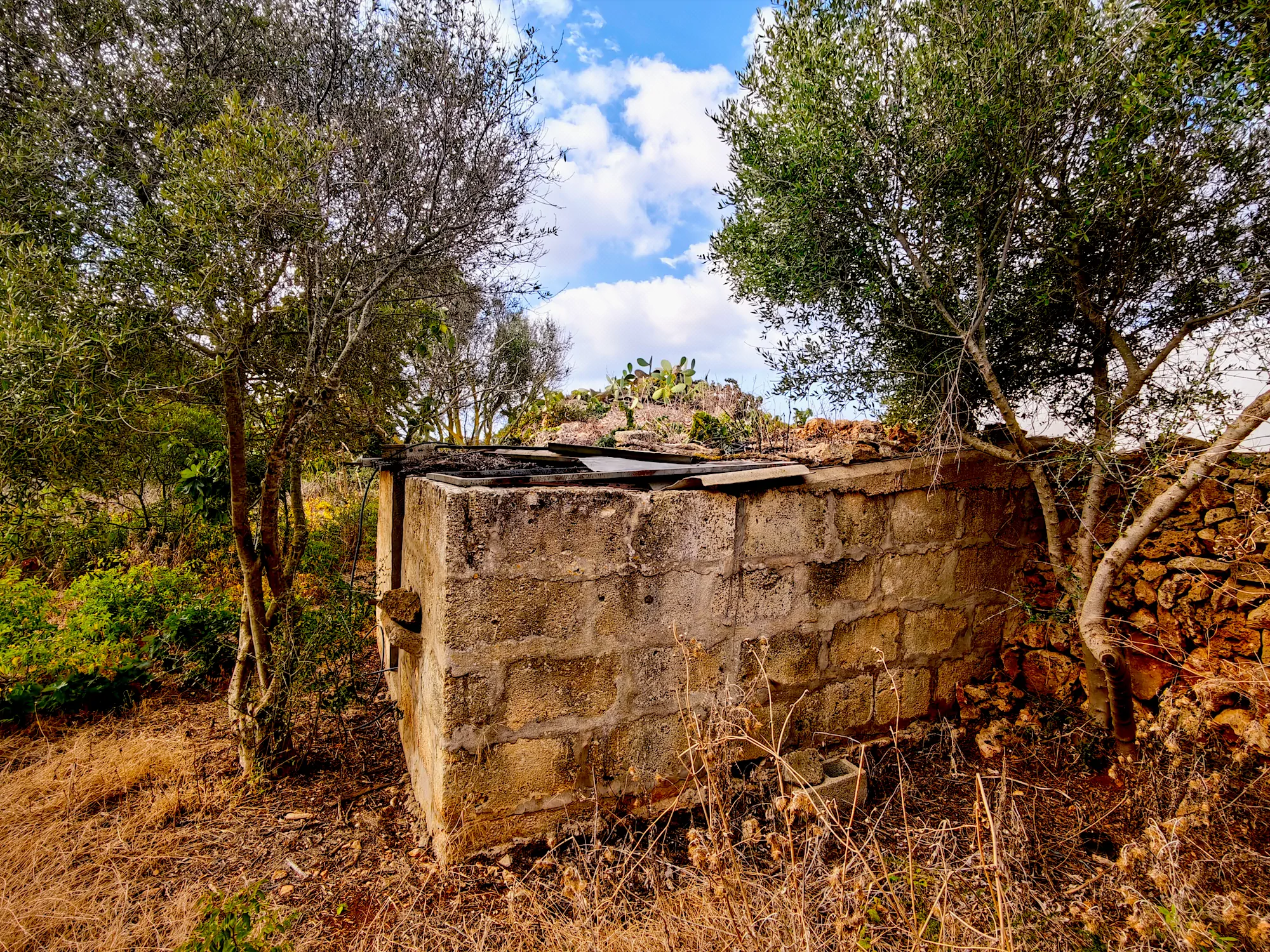 Hortal de 2.021 m² en venta cerca de Ciutadella de Menorca