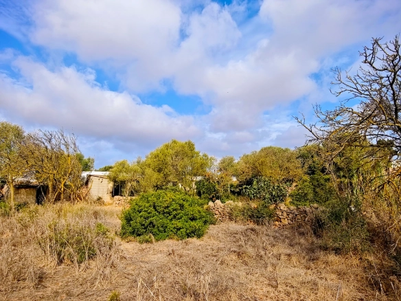 Hortal de 2.021 m² en venta cerca de Ciutadella de Menorca