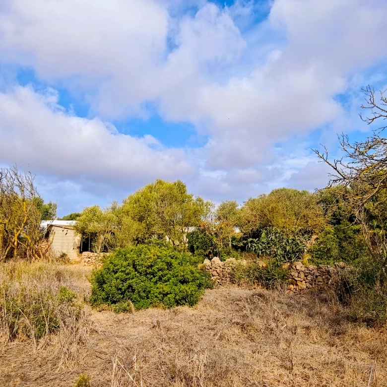 Hortal de 2.021 m² en venta cerca de Ciutadella de Menorca