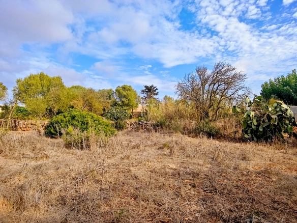 Hortal de 2.021 m² en venta cerca de Ciutadella de Menorca