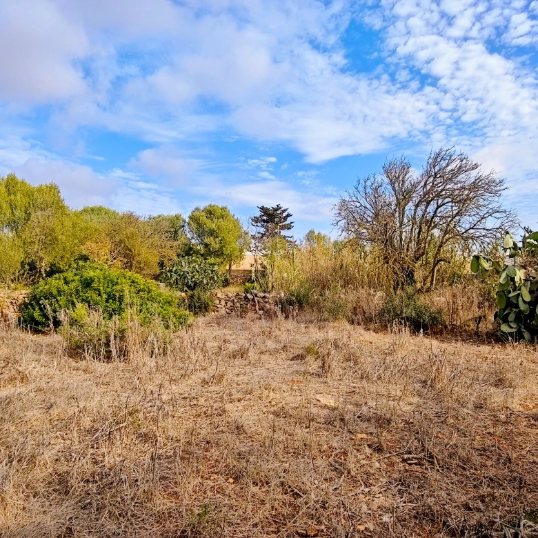Hortal de 2.021 m² en venta cerca de Ciutadella de Menorca
