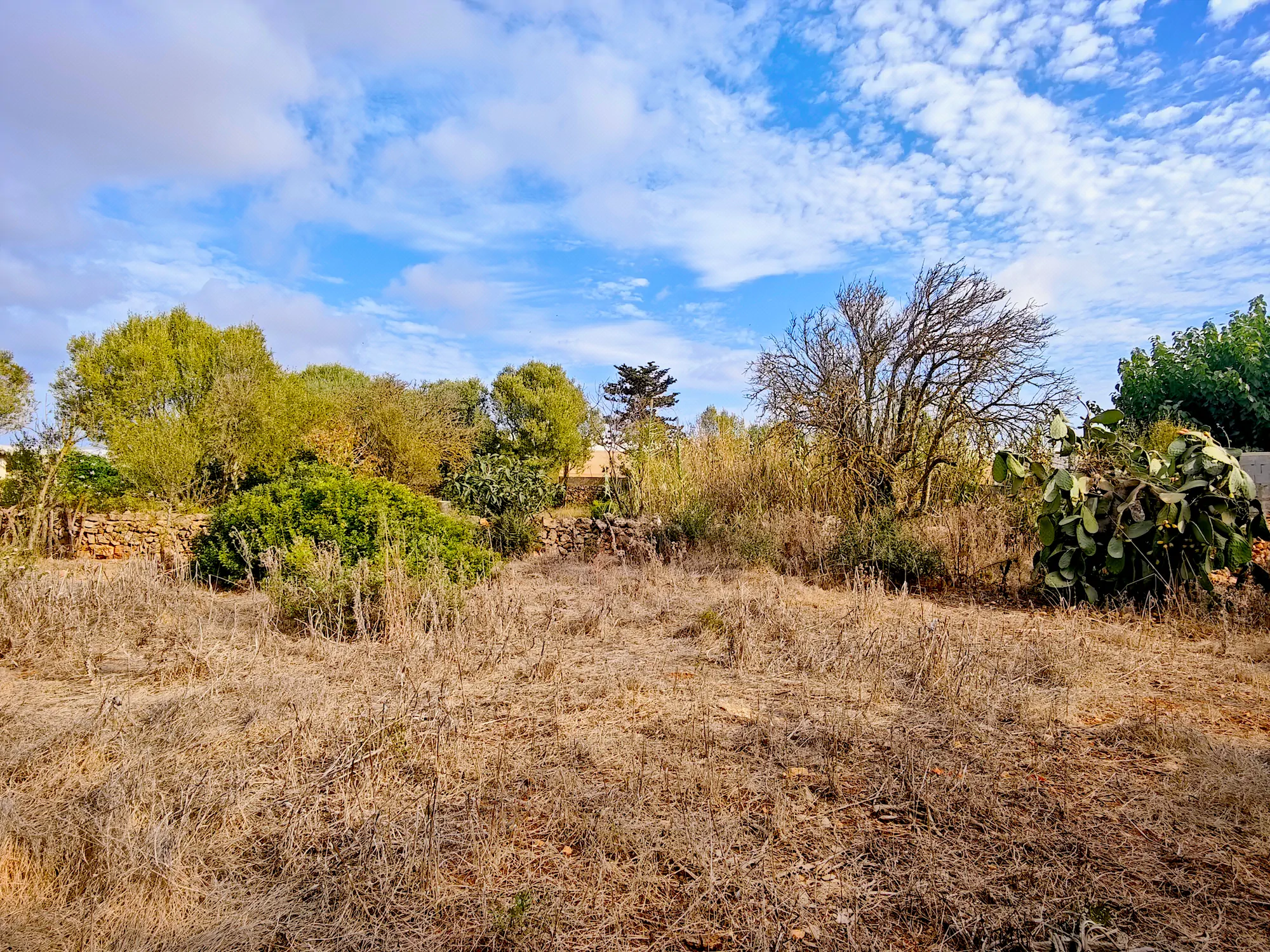 Hortal de 2.021 m² en venta cerca de Ciutadella de Menorca
