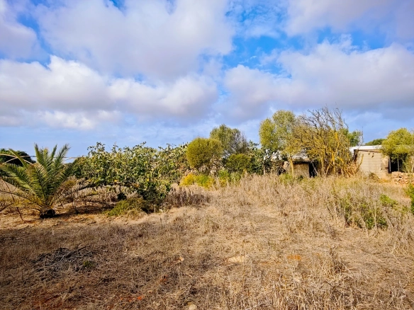 Hortal de 2.021 m² en venta cerca de Ciutadella de Menorca
