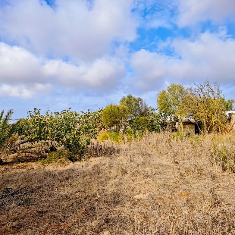 Hortal de 2.021 m² en venta cerca de Ciutadella de Menorca