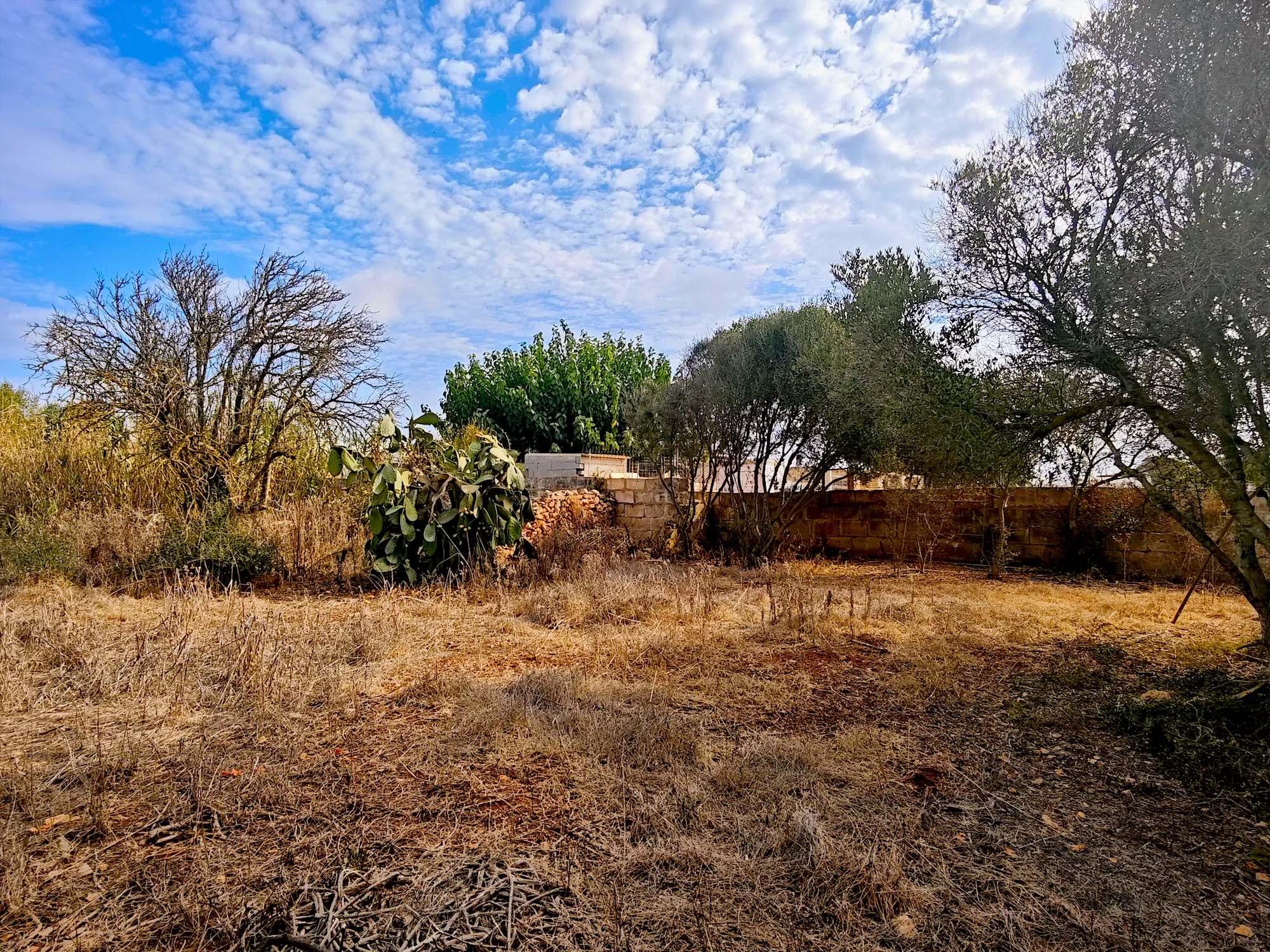 Hortal de 2.021 m² en venta cerca de Ciutadella de Menorca
