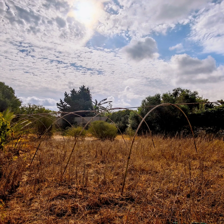 Hortal de 2.021 m² en venta cerca de Ciutadella de Menorca