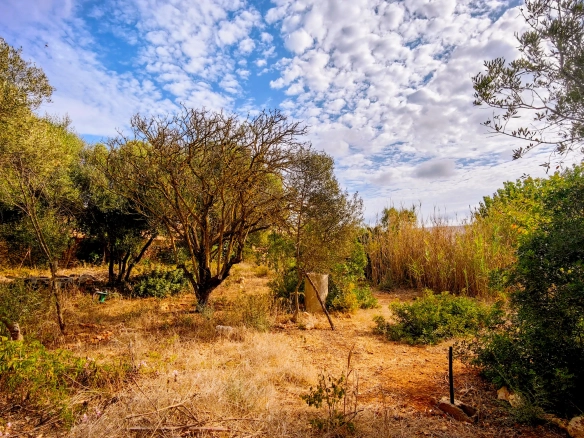 Hortal de 2.021 m² en venta cerca de Ciutadella de Menorca