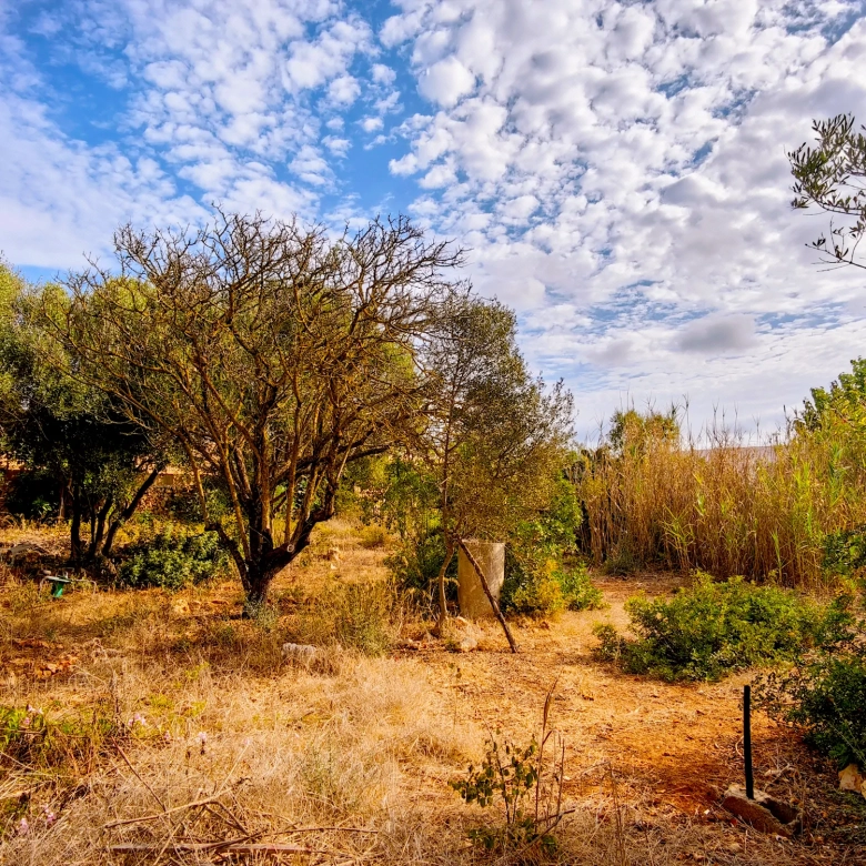 Hortal de 2.021 m² en venta cerca de Ciutadella de Menorca