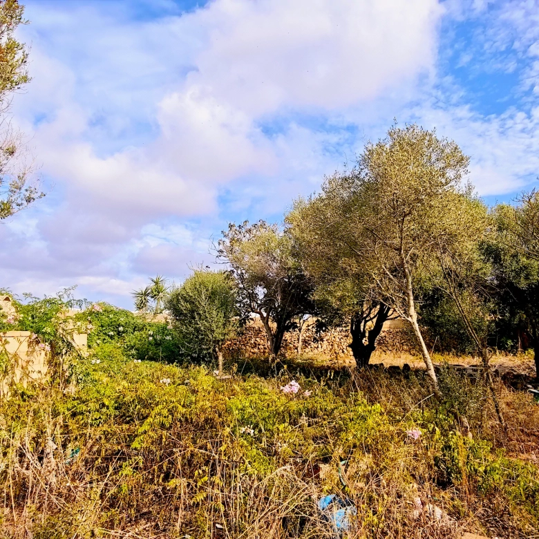 Hortal de 2.021 m² en venta cerca de Ciutadella de Menorca