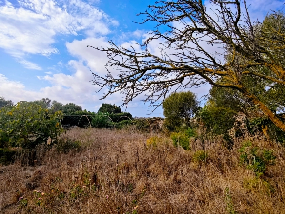 Hortal de 2.021 m² en venta cerca de Ciutadella de Menorca