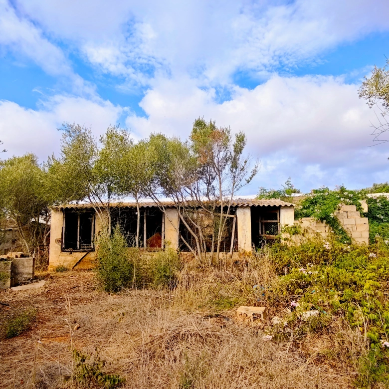 Hortal de 2.021 m² en venta cerca de Ciutadella de Menorca