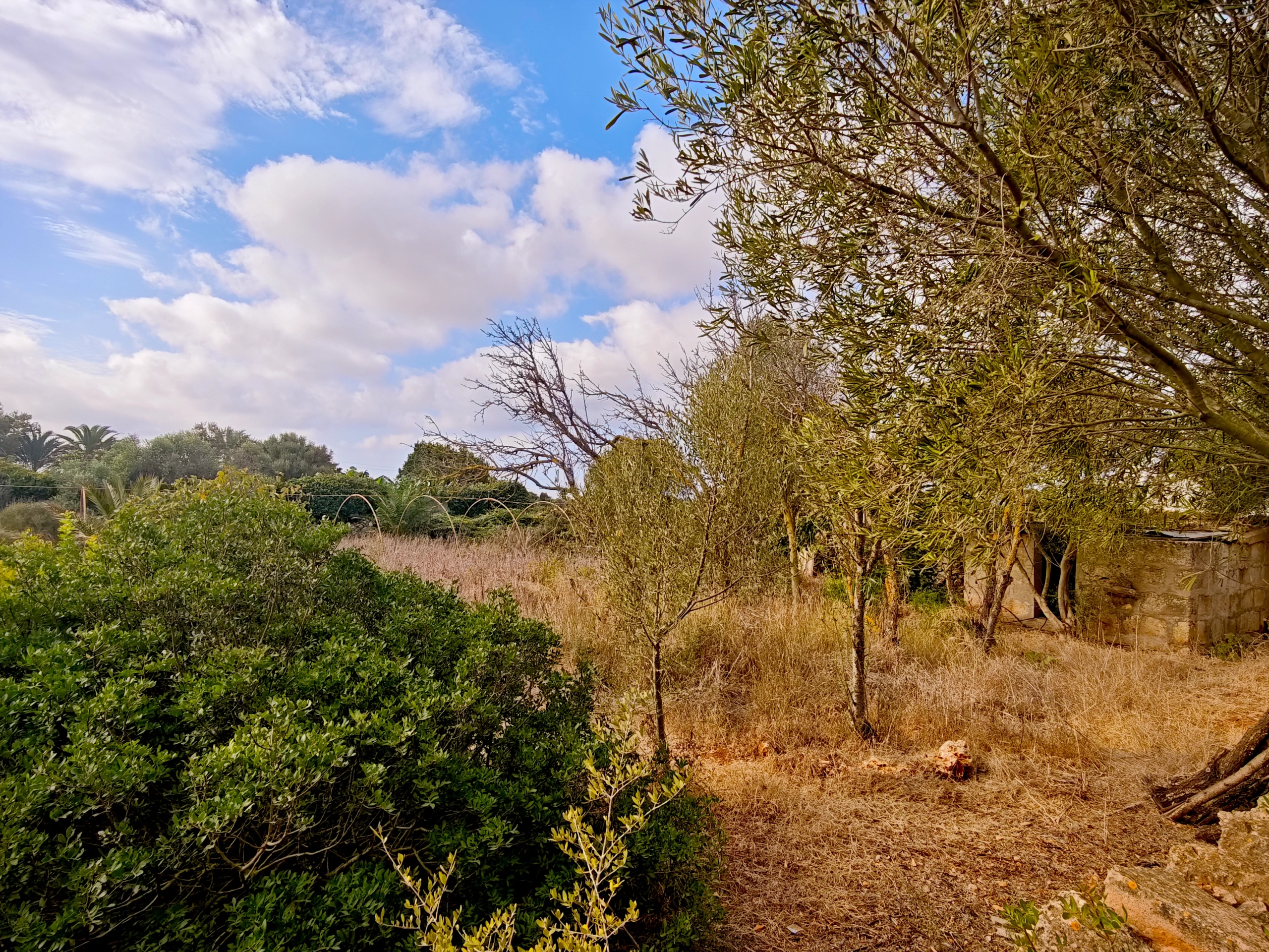 Hortal de 2.021 m² en venta cerca de Ciutadella de Menorca