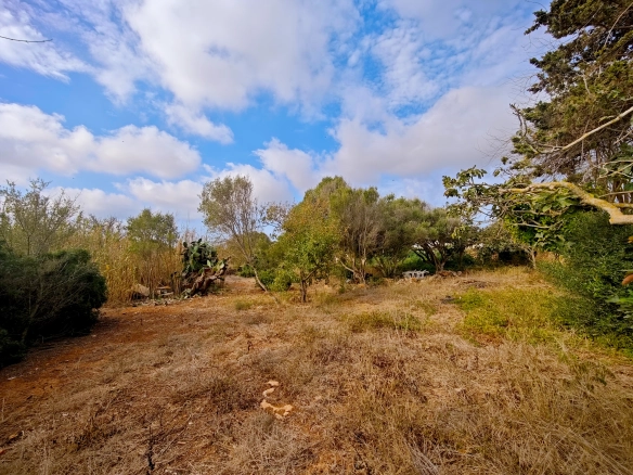 Hortal de 2.021 m² en venta cerca de Ciutadella de Menorca